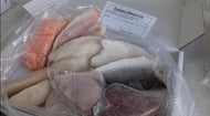 Premium Mixed Fish Box B 12 pc